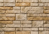 Piatra Decorativă Salvador 1 Gips (0.41mp), Stegu