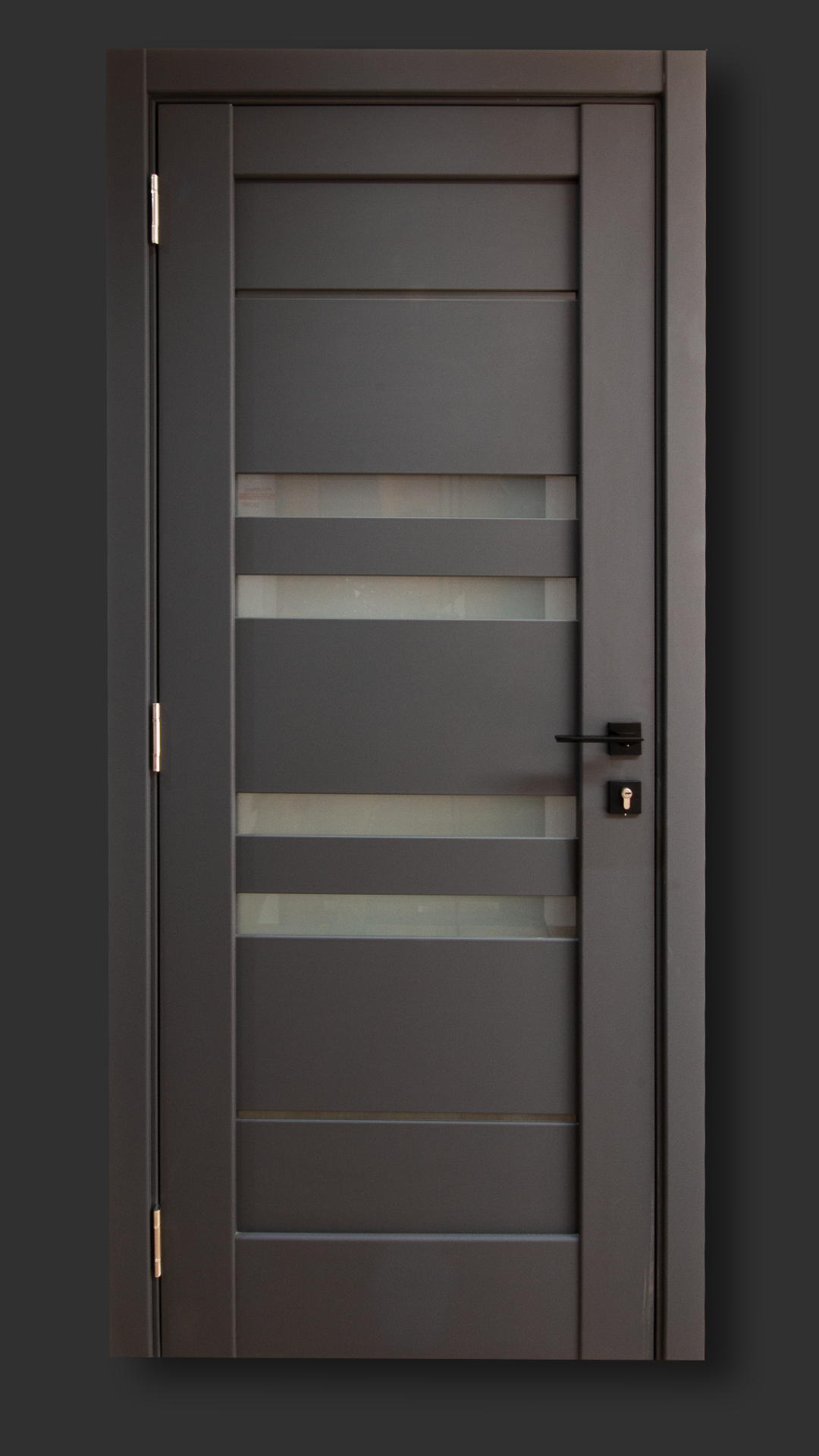 Ușă de interior Rino 06 Graphite silk matt
