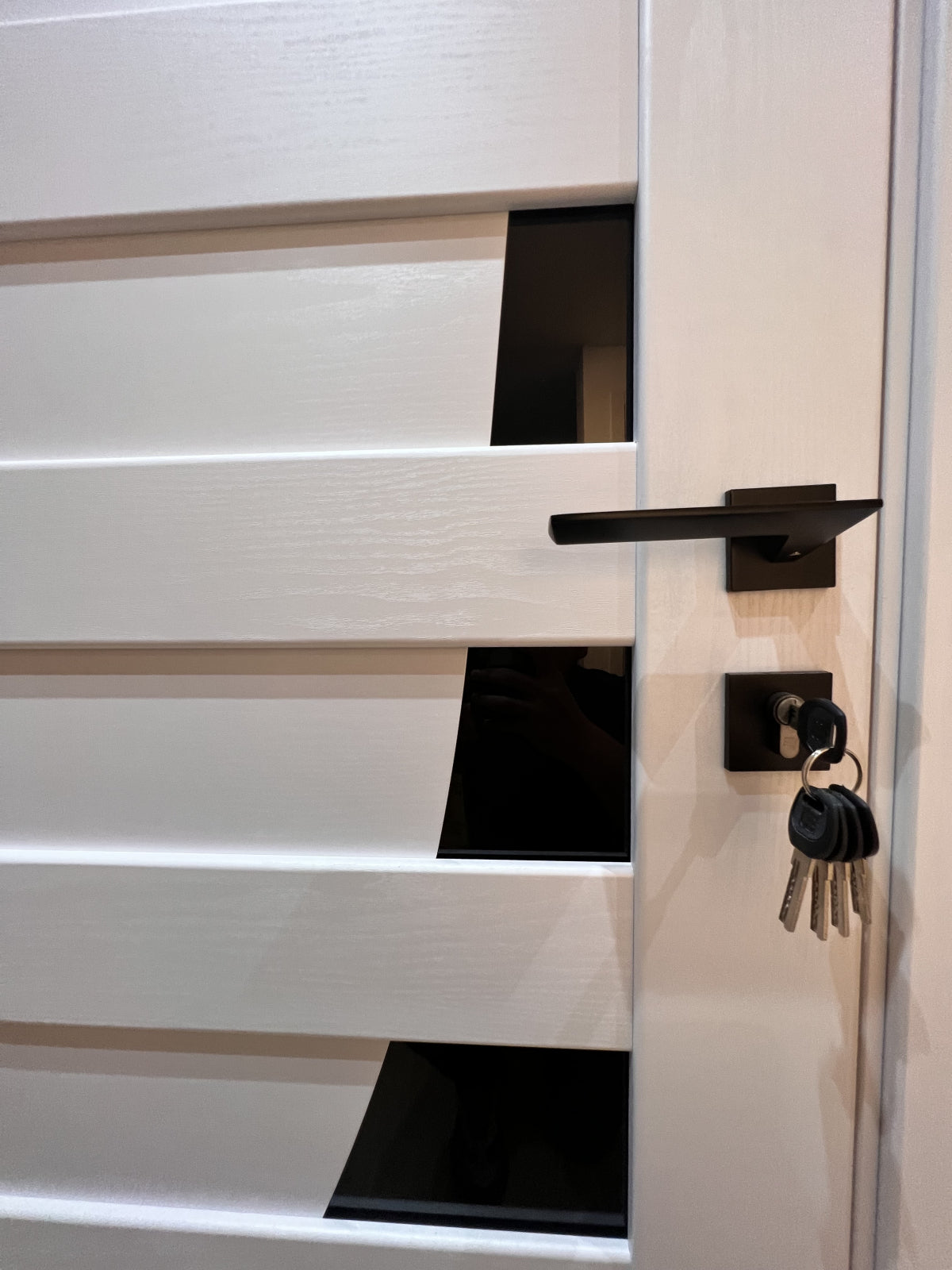 Ușă de interior interior Paris pearl ash cu sticlă neagră