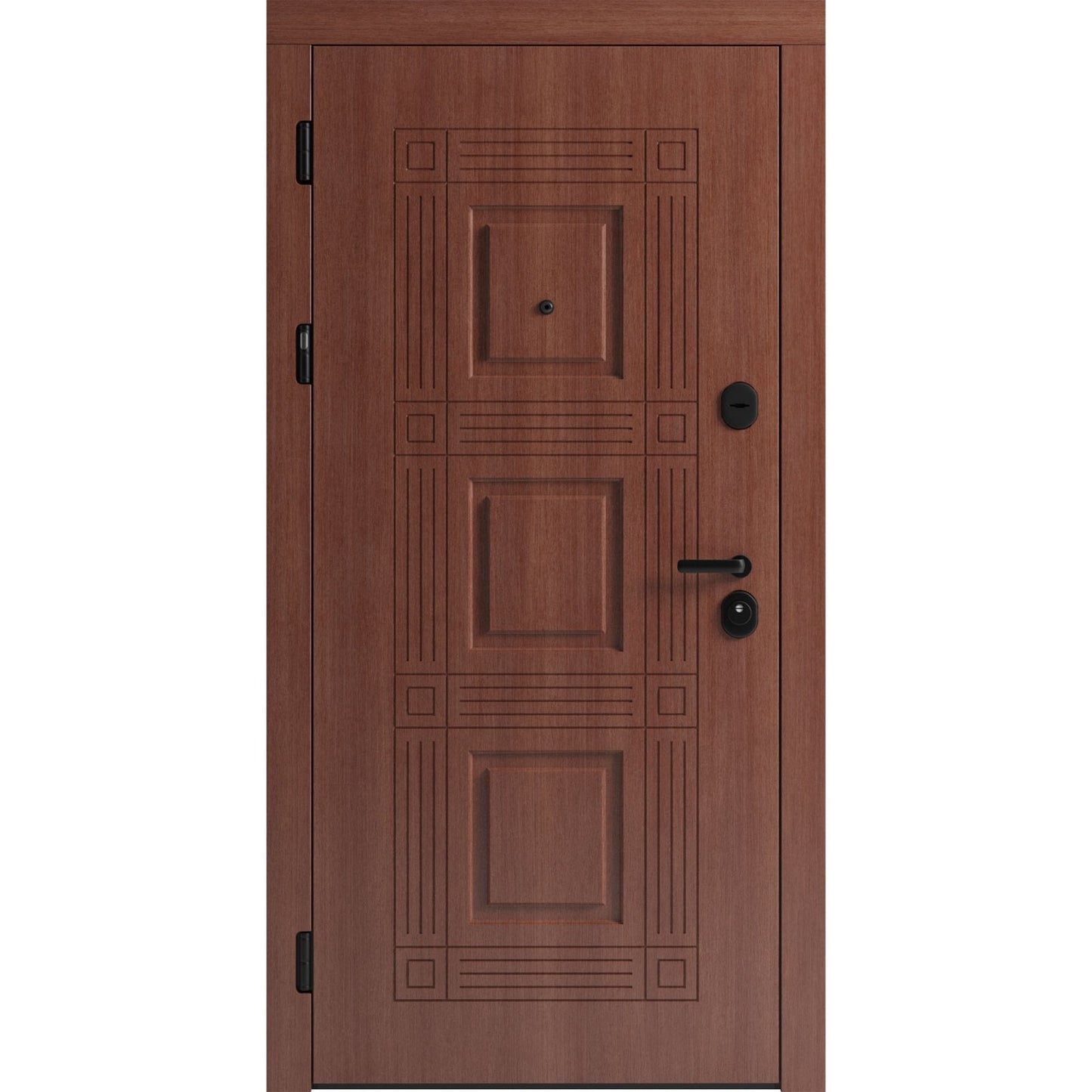 Ușă de intrare pentru stradă F117-2