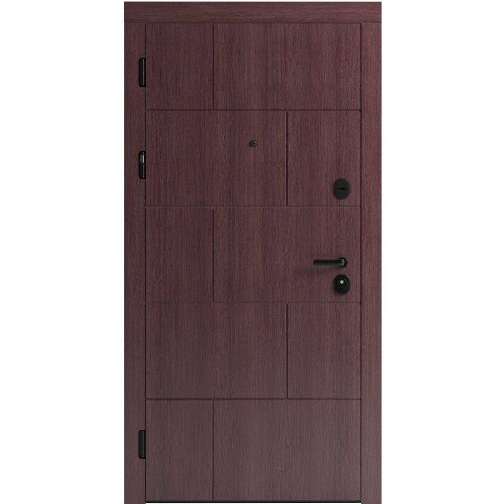 Ușă de intrare pentru stradă F118-6