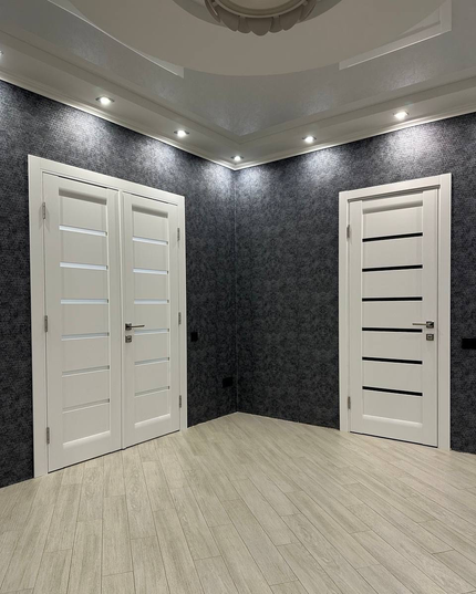 Ușă de interior ML 14 – Design modern cu fâșii satin și stil minimalist / Millenium - Carlo Porte