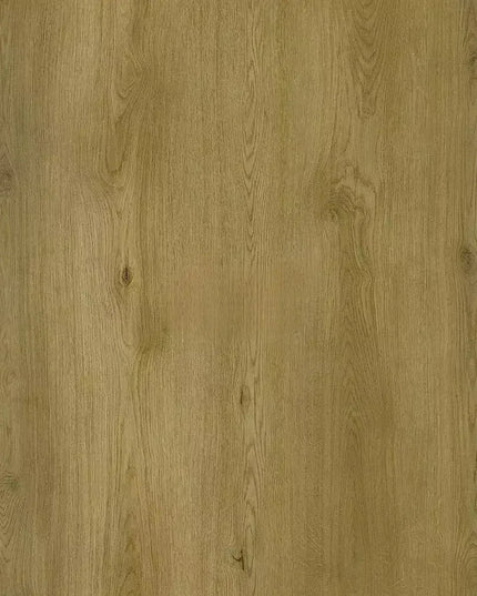 Parchet SPC RENACG014 Fail, Grizzly Collection, Republic Floor
