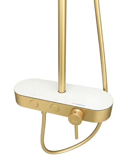 Set duș 2 funcții – finisaj auriu periat, design modern din oțel inoxidabil