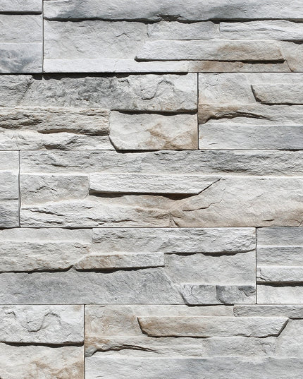 Piatra Decorativa Nepal 1 Beton (0.46mp), Stegu