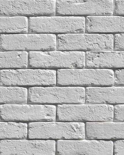Piatra Decorativa Oxford 1 Gips (0.49mp), Stegu