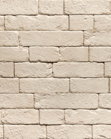 Piatra Decorativa Brickal 1 Gips (0.4mp), Stegu