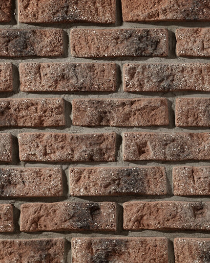 Caramida Aparenta Rustik 568 Beton (1mp), Stegu