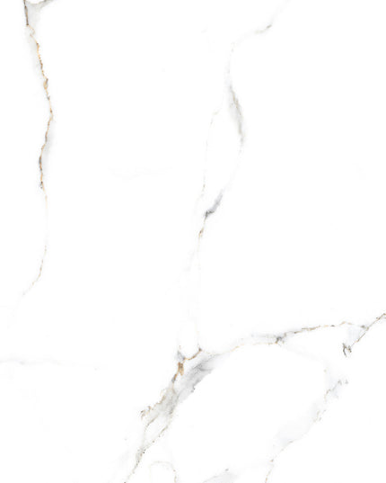 GRESIE CALACATTA ORO 60X120