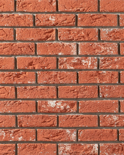 Caramida Aparenta Country 710 Beton (1mp),Stegu