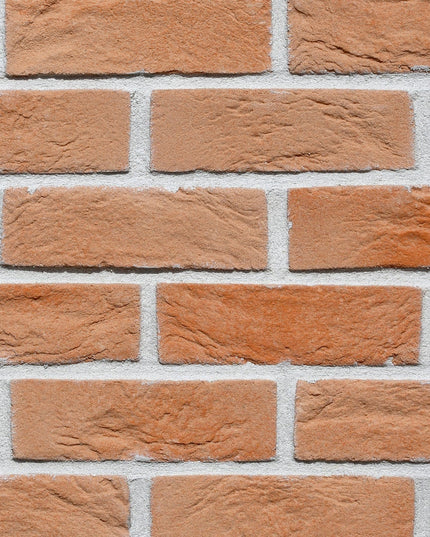 Caramida Aparenta Country 615 Beton (1mp), Stegu