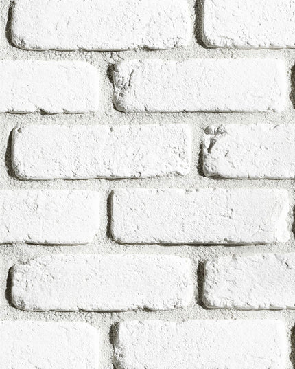 Caramida Aparenta Loft 1 Gips (0.6mp), Stegu