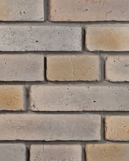 Caramida Aparenta Monsanto 2, Beton (0.42mp), Stegu