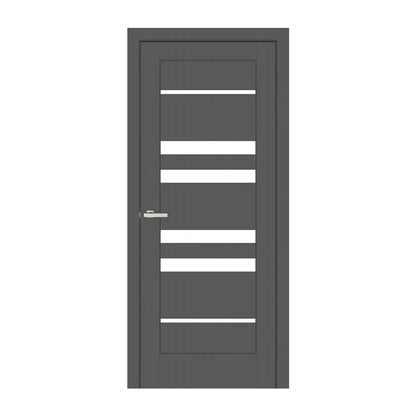 Ușă de interior Rino 06 Graphite silk matt