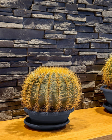 Piatra Decorativă Grenada 5 Beton (0.32mp), Stegu