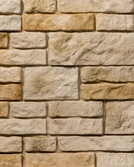 Piatra Decorativă Salvador 1 Gips (0.41mp), Stegu