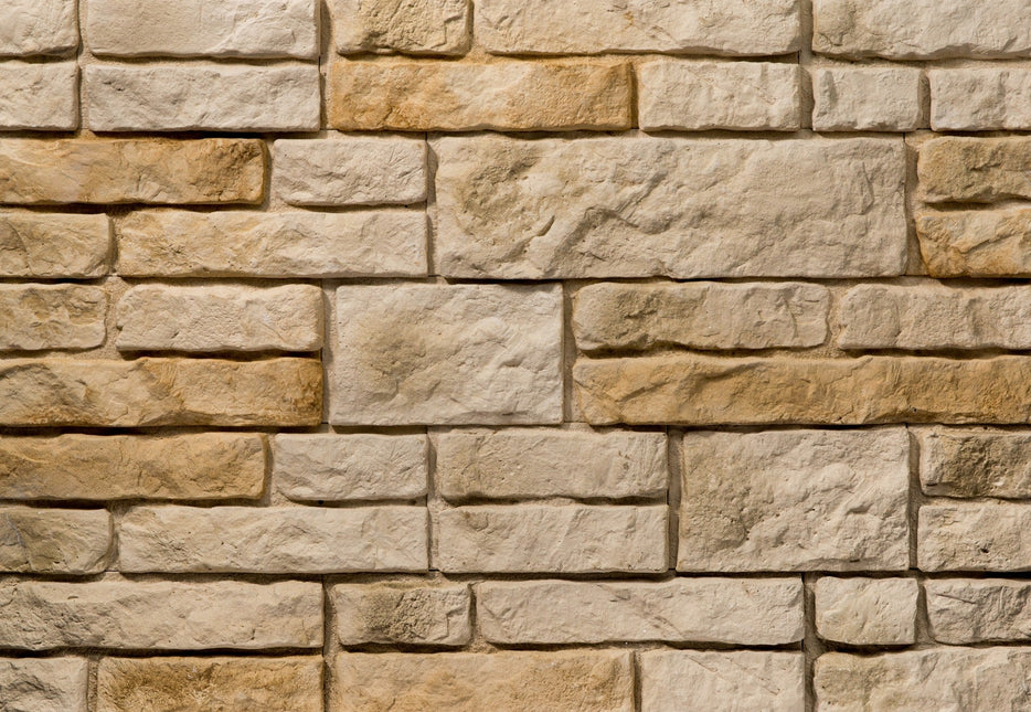 Piatra Decorativă Salvador 1 Gips (0.41mp), Stegu