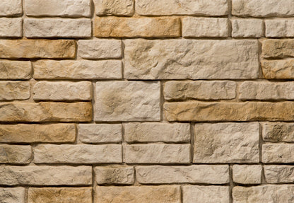Piatra Decorativă Salvador 1 Gips (0.41mp), Stegu