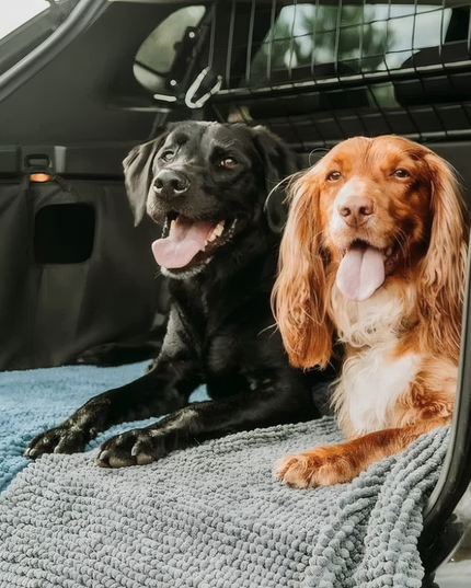 Covoraș baie din chenilia fină, strat antiderapant, 45×70 cm, Gri