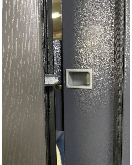 Usa intrare Laura (stejar gri / stejar alb)