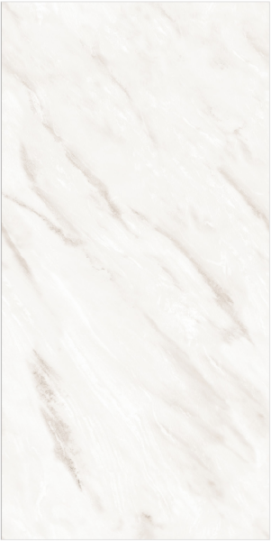 GRESIE MICHELANGELO PEARL ENDLESS GLOSSY 60X120