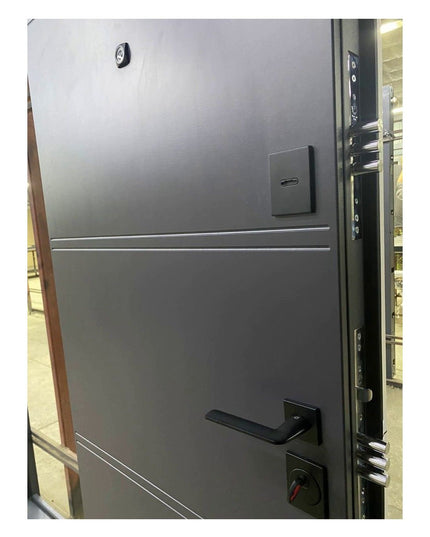 Usa intrare Montana (Alb interior)