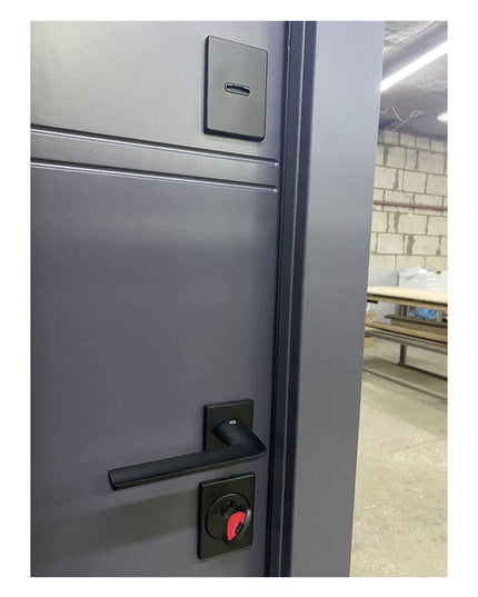 Usa intrare Montana (Alb interior)