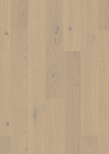 Parchet Stratificat Stejar Warm Cotton Animoso, 13.2mm Plank 181, Boen