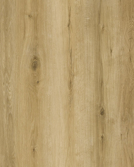 Parchet SPC RENACG007 Lost, Grizzly Collection, Republic Floor