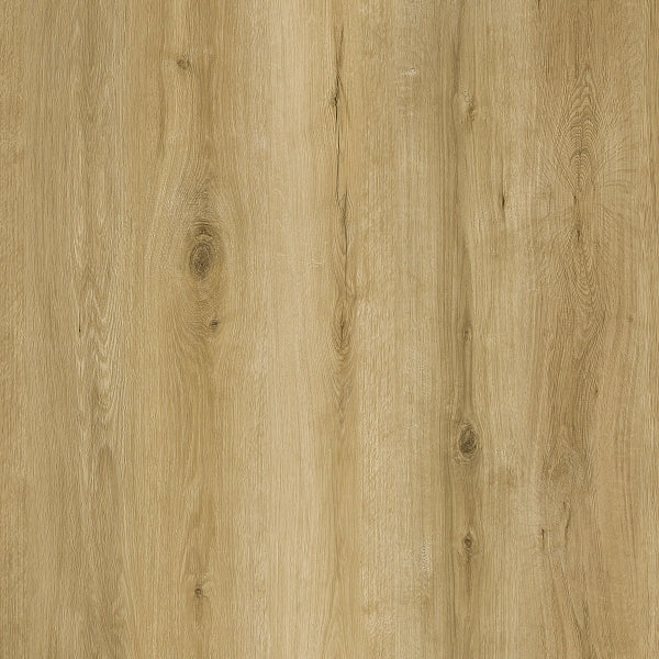 Parchet SPC RENACG007 Lost, Grizzly Collection, Republic Floor