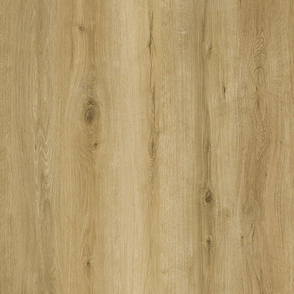 Parchet SPC RENACG007 Lost, Grizzly Collection, Republic Floor