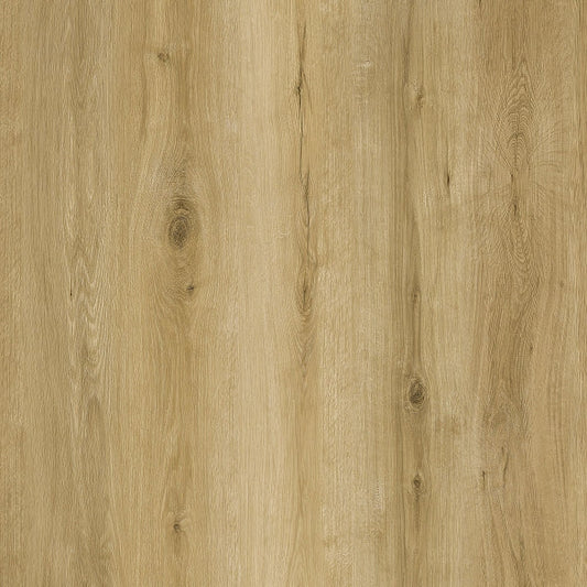 Parchet SPC RENACG007 Lost, Grizzly Collection, Republic Floor