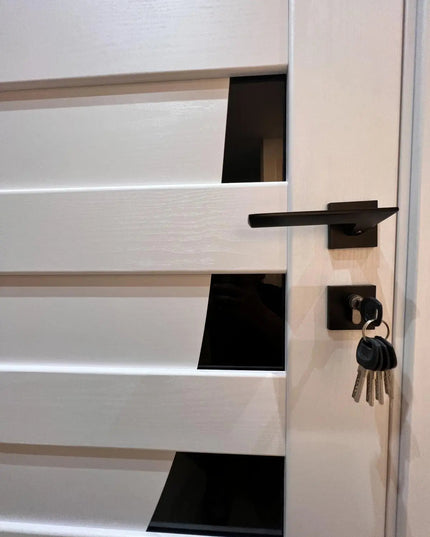 Ușă interior Paris Pearl Ash – cu sticlă negră complet echipată, cu toc reglabil