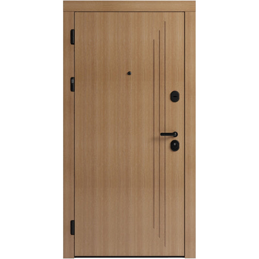 Ușă de intrare pentru stradă F103-1