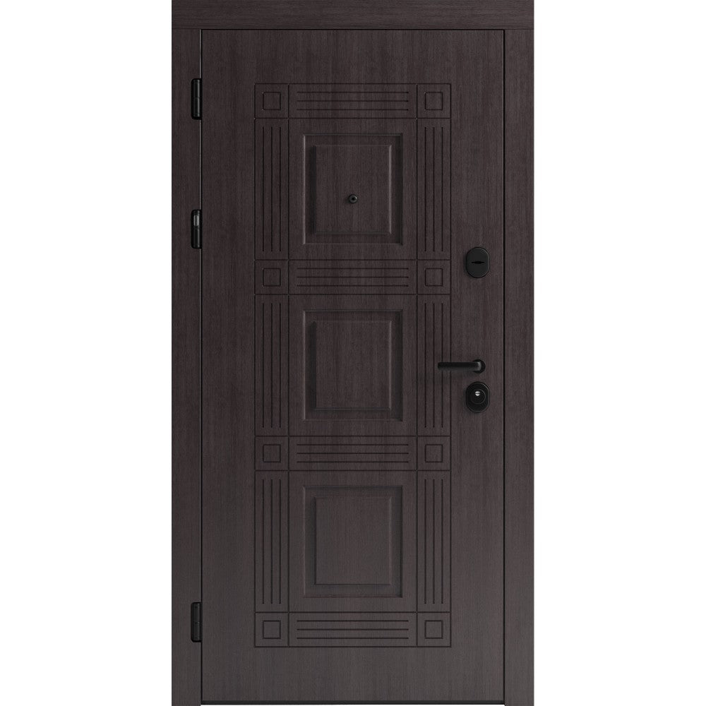 Ușă de intrare pentru stradă F117-5