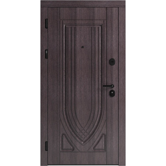 Ușă de intrare pentru stradă F119-3